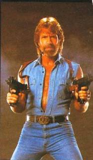 chucknorris16go.jpg